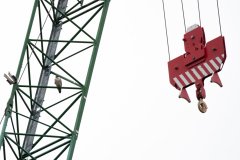 Juvenile on the Crane. Photo by James Sellen.