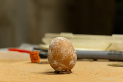 The unhatched egg