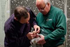 Jon and Richard Denyer Ringing. Photo by James Sellen.