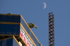 Urban Peregrine. Photo by James Sellen.