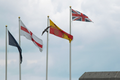 Peregrine and Flags. Photo by Craig Denford.