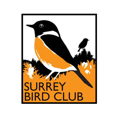 Surrey Bird Club